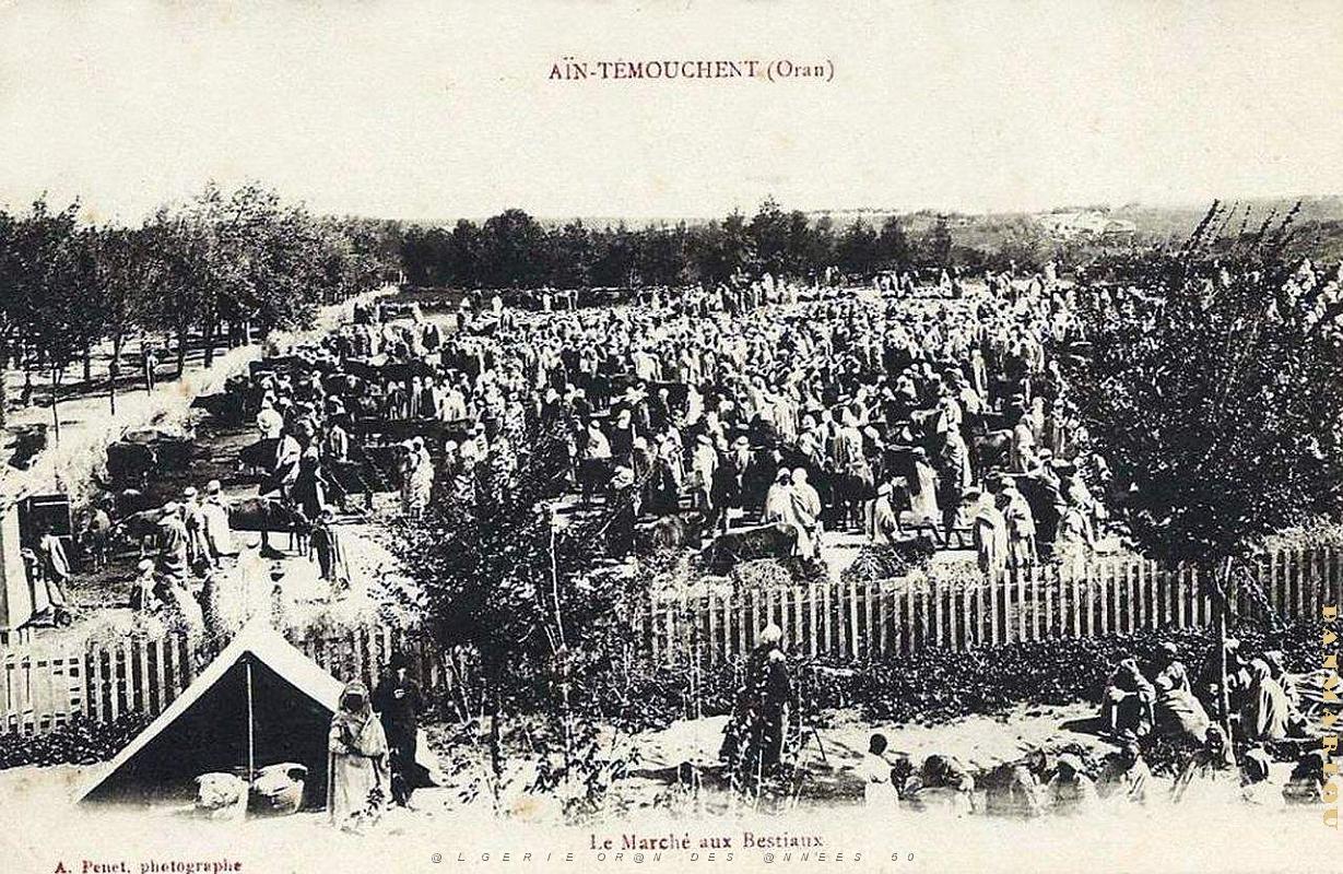 Ain temouchent 053.JPG
